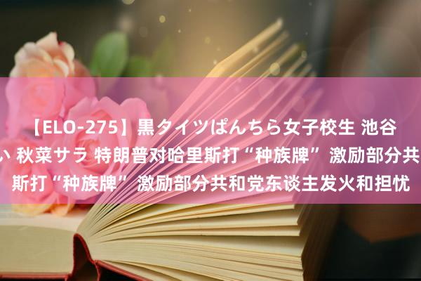 【ELO-275】黒タイツぱんちら女子校生 池谷ひかる さくら 宮下まい 秋菜サラ 特朗普对哈里斯打“种族牌” 激励部分共和党东谈主发火和担忧