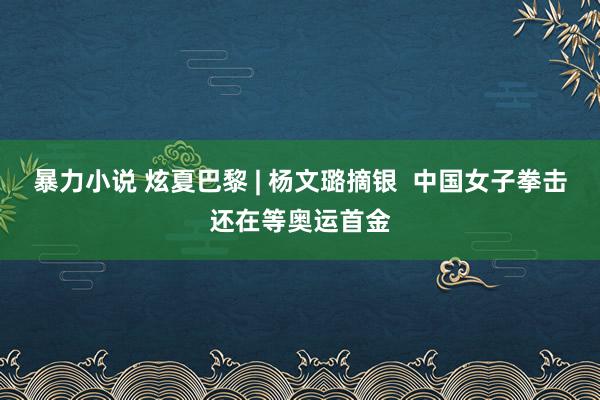 暴力小说 炫夏巴黎 | 杨文璐摘银  中国女子拳击还在等奥运首金