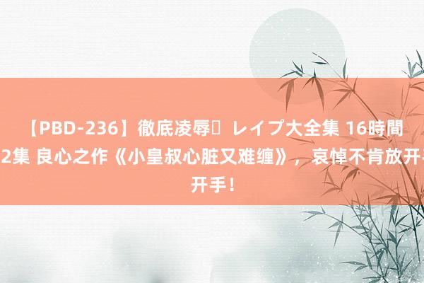 【PBD-236】徹底凌辱・レイプ大全集 16時間 第2集 良心之作《小皇叔心脏又难缠》，哀悼不肯放开手！