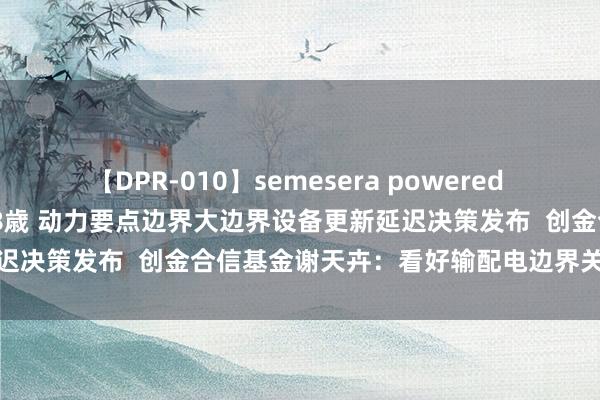 【DPR-010】semesera powered 10 ギャル女痴校生 リサ18歳 动力要点边界大边界设备更新延迟决策发布  创金合信基金谢天卉：看好输配电边界关联投资契机