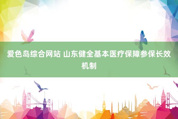 爱色岛综合网站 山东健全基本医疗保障参保长效机制