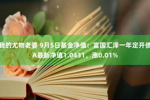 我的尤物老婆 9月5日基金净值：富国汇泽一年定开债A最新净值1.0431，涨0.01%