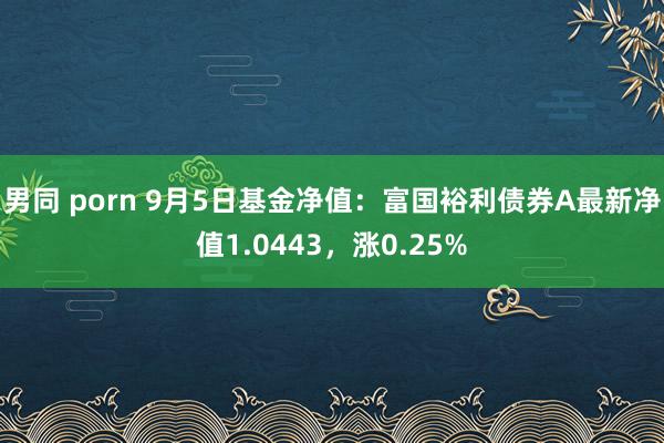 男同 porn 9月5日基金净值：富国裕利债券A最新净值1.0443，涨0.25%