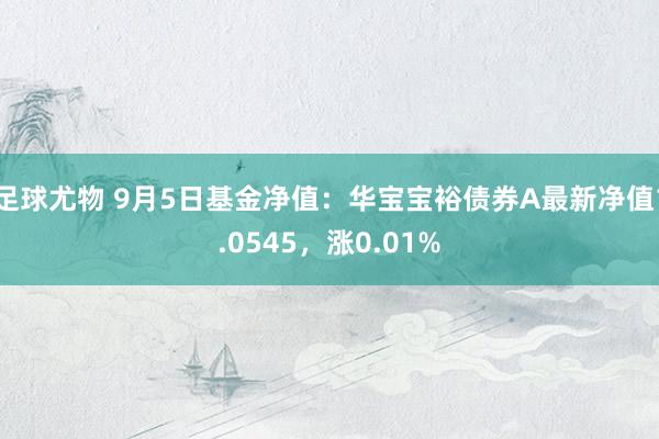 足球尤物 9月5日基金净值：华宝宝裕债券A最新净值1.0545，涨0.01%