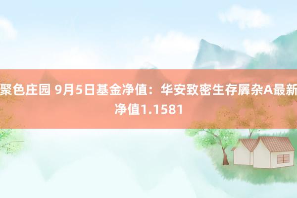 聚色庄园 9月5日基金净值：华安致密生存羼杂A最新净值1.1581