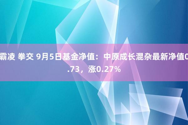 霸凌 拳交 9月5日基金净值：中原成长混杂最新净值0.73，涨0.27%