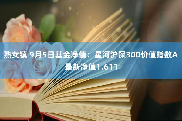 熟女镇 9月5日基金净值：星河沪深300价值指数A最新净值1.611