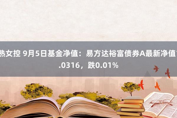 熟女控 9月5日基金净值：易方达裕富债券A最新净值1.0316，跌0.01%