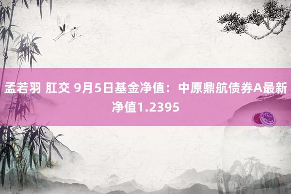 孟若羽 肛交 9月5日基金净值：中原鼎航债券A最新净值1.2395