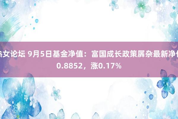 熟女论坛 9月5日基金净值：富国成长政策羼杂最新净值0.8852，涨0.17%