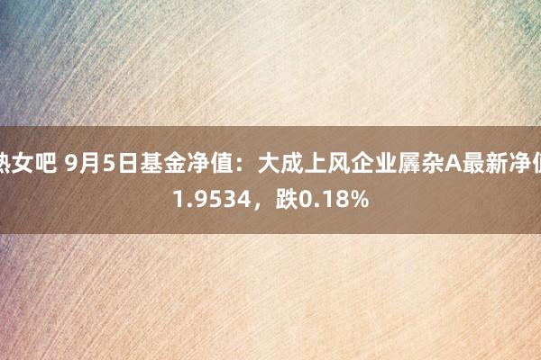 熟女吧 9月5日基金净值：大成上风企业羼杂A最新净值1.9534，跌0.18%