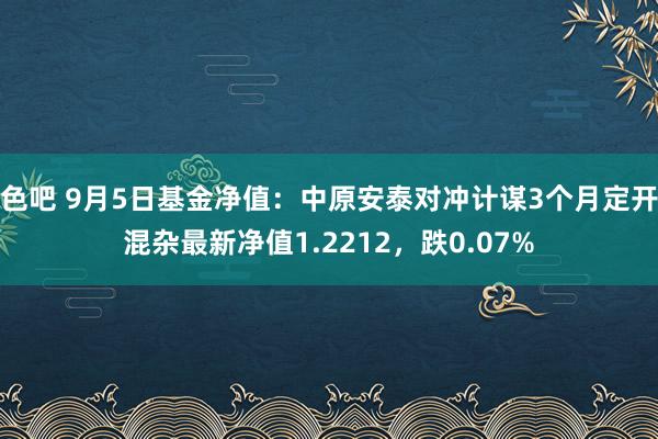 色吧 9月5日基金净值：中原安泰对冲计谋3个月定开混杂最新净值1.2212，跌0.07%