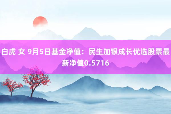 白虎 女 9月5日基金净值：民生加银成长优选股票最新净值0.5716