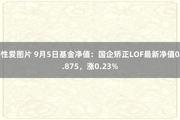 性爱图片 9月5日基金净值：国企矫正LOF最新净值0.875，涨0.23%