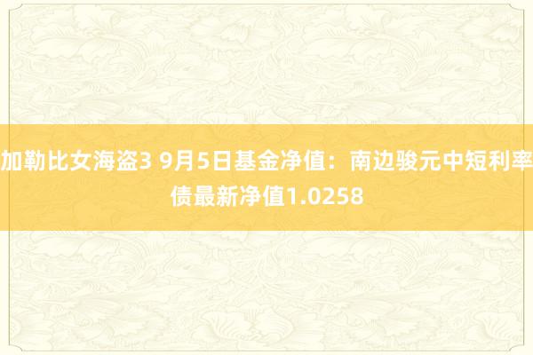 加勒比女海盗3 9月5日基金净值：南边骏元中短利率债最新净值1.0258