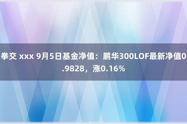 拳交 xxx 9月5日基金净值：鹏华300LOF最新净值0.9828，涨0.16%