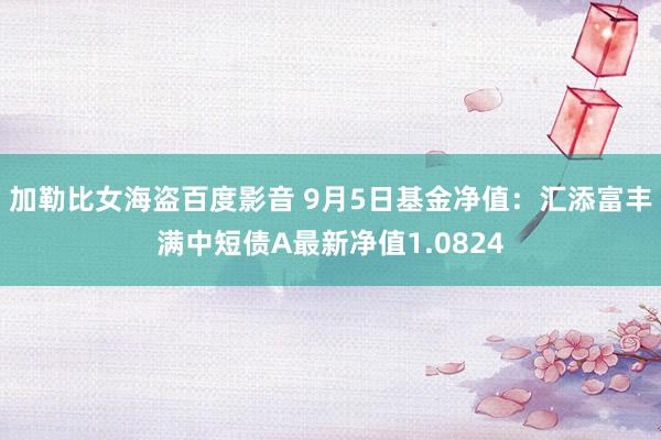 加勒比女海盗百度影音 9月5日基金净值：汇添富丰满中短债A最新净值1.0824