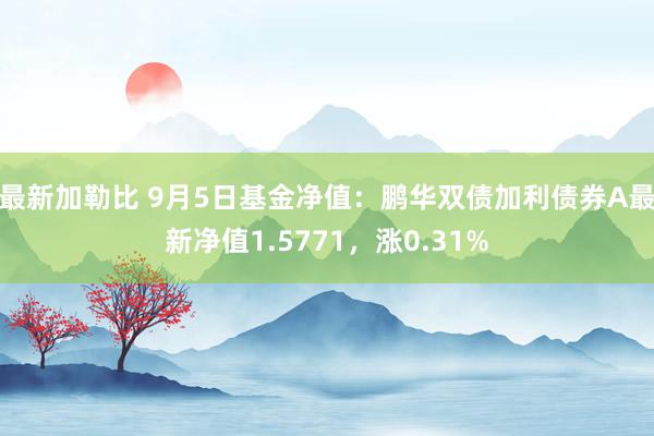 最新加勒比 9月5日基金净值：鹏华双债加利债券A最新净值1.5771，涨0.31%