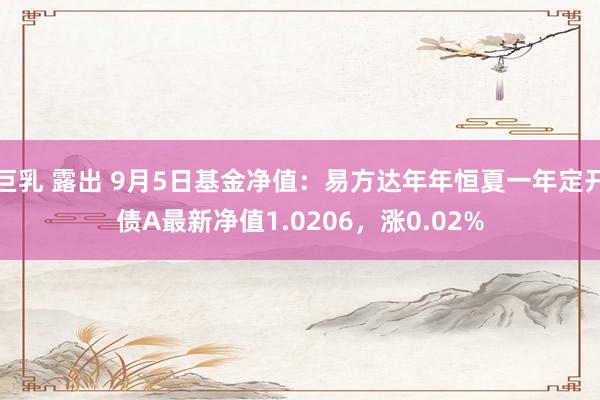 巨乳 露出 9月5日基金净值：易方达年年恒夏一年定开债A最新净值1.0206，涨0.02%