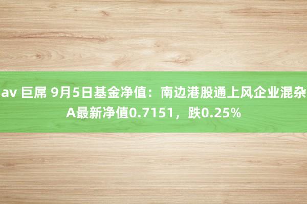 av 巨屌 9月5日基金净值：南边港股通上风企业混杂A最新净值0.7151，跌0.25%