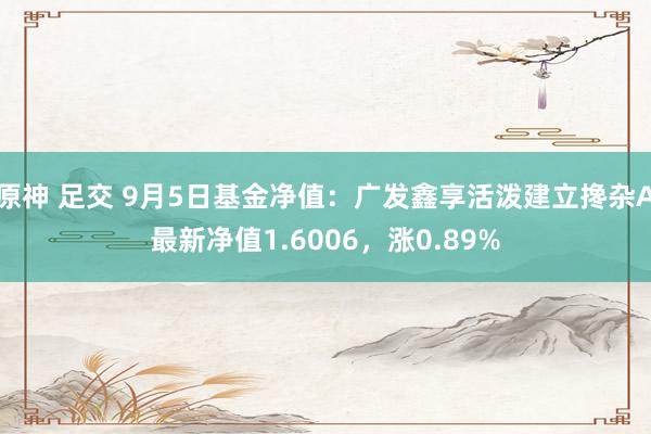 原神 足交 9月5日基金净值：广发鑫享活泼建立搀杂A最新净值1.6006，涨0.89%