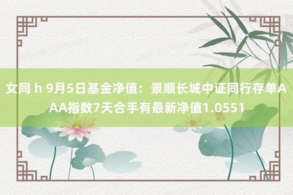 女同 h 9月5日基金净值：景顺长城中证同行存单AAA指数7天合手有最新净值1.0551