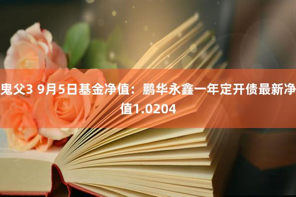 鬼父3 9月5日基金净值：鹏华永鑫一年定开债最新净值1.0204