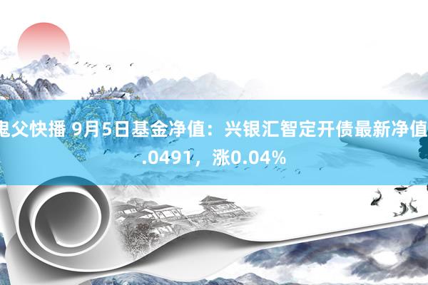 鬼父快播 9月5日基金净值：兴银汇智定开债最新净值1.0491，涨0.04%