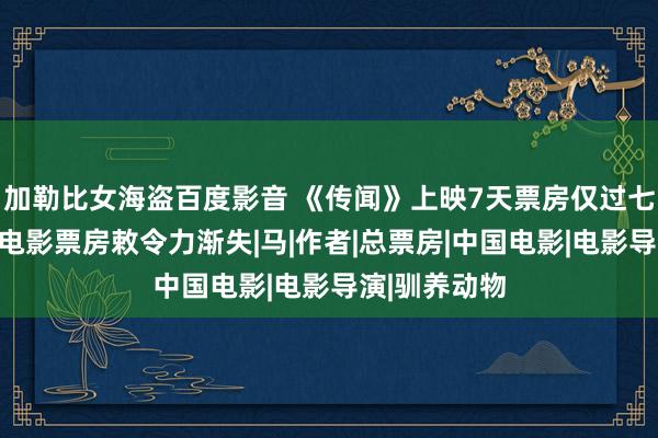 加勒比女海盗百度影音 《传闻》上映7天票房仅过七千万，成龙电影票房敕令力渐失|马|作者|总票房|中国电影|电影导演|驯养动物