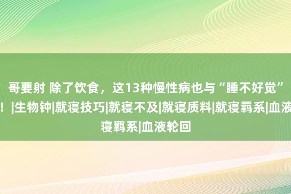 哥要射 除了饮食，这13种慢性病也与“睡不好觉”关联！|生物钟|就寝技巧|就寝不及|就寝质料|就寝羁系|血液轮回