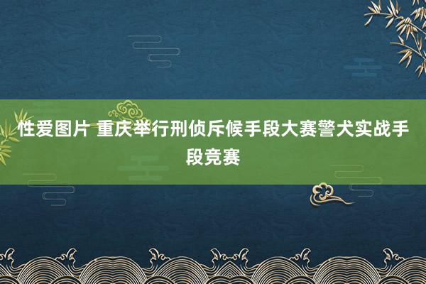 性爱图片 重庆举行刑侦斥候手段大赛警犬实战手段竞赛