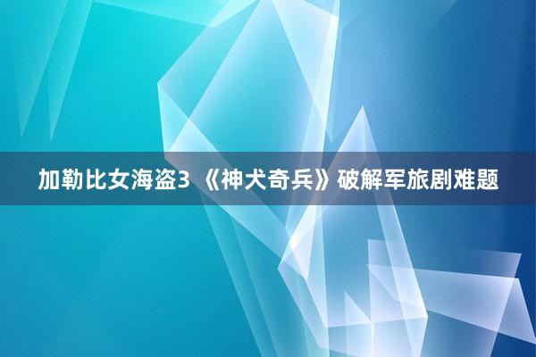 加勒比女海盗3 《神犬奇兵》破解军旅剧难题