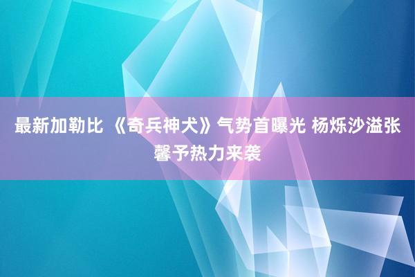 最新加勒比 《奇兵神犬》气势首曝光 杨烁沙溢张馨予热力来袭