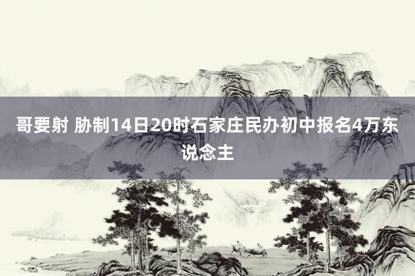 哥要射 胁制14日20时石家庄民办初中报名4万东说念主