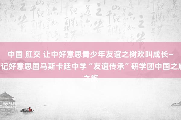 中国 肛交 让中好意思青少年友谊之树欢叫成长——记好意思国马斯卡廷中学“友谊传承”研学团中国之旅